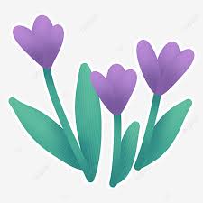 tulips spring flowers clipart hd png