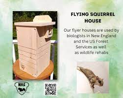 Flying Squirrel House Northern Flying