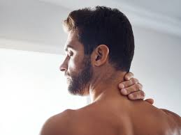 Major muscles of the neck and back include the erector spinae, multifidus, rectus abdominus, transversus abdominus, internal obliques, external obliques, splenius and quadratus lumborum. Sternocleidomastoid Muscle Anatomy And Function