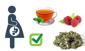 benefits of drinking raspberry leaf tea
