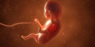 Pada usia kehamilan 8 bulan, janin dalam kandungan akan terasa kian berat dan aktif. Hamil 12 Minggu Ini Berbagai Hal Yang Terjadi Pada Ibu Dan Janin