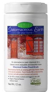 food grade diatomaceous earth for your