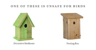 Birdhouses Versus Nesting Boxes What S
