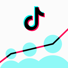 the complete guide to tiktok ytics