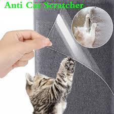 anti cat scratcher guard cat