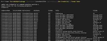 ideny column usage in sql server