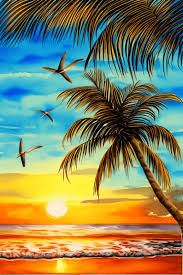 Beautiful Sunset Beach Palm Trees