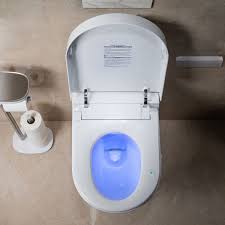 Dual Flush Wall Hung Toilet