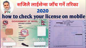 how to check driving licence details