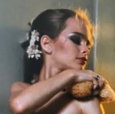 In 1981, brooke shields attempted to prevent further use of the photographs, but a u.s. Brooke Shields Gary Gross Brooke Shields Nude Photographer Garry Gross Dies Artlyst Succumbing To Pressure From The Police The Tate Modern In London Has Removed A Richard Prince Photo That