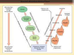 Bowens Reaction Series Ppt Video Online Download