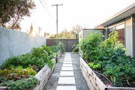 Outdoor Side Yard Vegetables Design