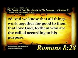 romans chapter 8 book 45 the