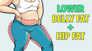 lower belly fat hip fat workout