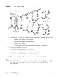 Dna structure and replication worksheet answer key is a complete solution that has been designed to facilitate the scientific researches in the biological sciences. Dna Structure And Replication Worksheet