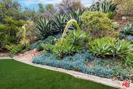 Top 7 Houston Landscaping Ideas Front
