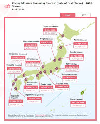 Where To Shoot Cherry Blossoms In Japan A Practical Photo Guide