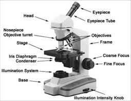 Microscopes Information Engineering360 Reasons Check Engine
