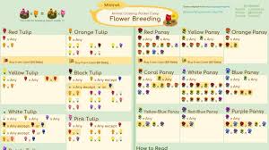 Animal Crossing Pocket Camp Reference Guide Explains Flower