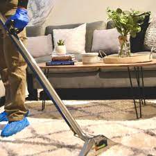 top 10 best upholstery cleaner near