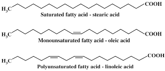 fatty acid composition of meat s