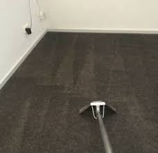 your carpet cleaning pro cleaning