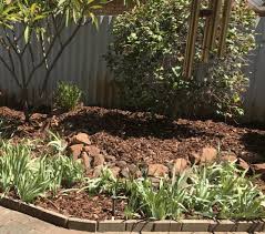What S The Best Mulch For Gardens