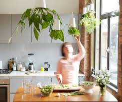 Sky Planter Ingenious Indoor Garden