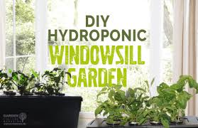 diy hydroponic windowsill garden