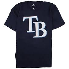 Fanatics Men's Tampa Bay Rays Logo T Shirt
