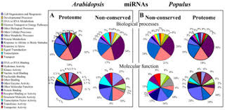 Pie Chart Representation Of Gene Ontology Classificatio Open I