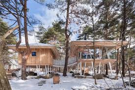 Forest House Built On Stilts