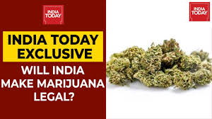 Zumindest dann, wenn man teil einer wissenschaftlichen studie ist. Ssr Case Will India Make Marijuana Legal Newsmo Youtube