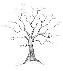 Simple Family Tree Drawing At Getdrawings Com Free For