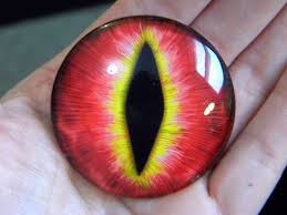 One 50 Mm Giant Red Cat Eye Creature Eye Lizard Eye