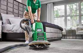 schedule professional carpet cleaners