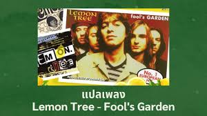 แปลเพลง lemon tree fool s garden