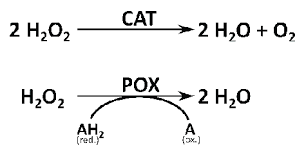 Reactions Of Hydrogen Peroxide