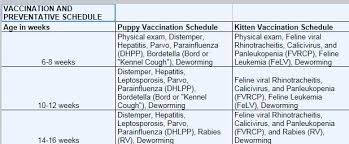 Puppy Shot Schedule And Cost Google Search Pet Care