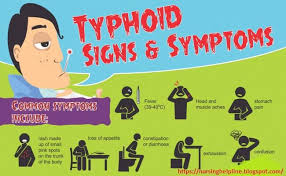 Sign And Symptoms Of Typhoid Fever Typhoid Fever