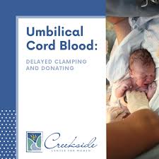 umbilical cord blood dela cling