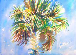 Charleston Palm Tree Watercolor