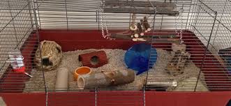 how to clean a hamster cage