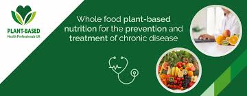 plant based health professionals uk