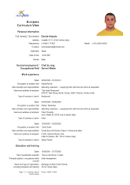 Cv Form In English Download Cv Resume Examples To Download