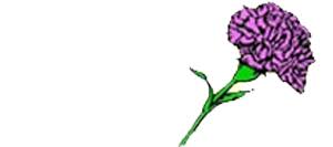 Flourish design beautiful arrangements each week using seasonal flowers, bought at the dutch flower auctions. Dunedin Florist Flower Delivery By Karnation Korner Florist