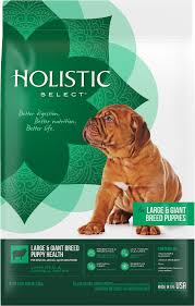 Large Giant Breed Puppy Health Holistic Select