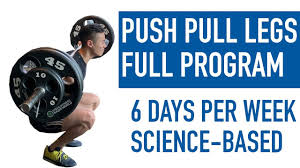 best science based push pull legs split
