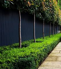 Make Your Garden Fences Disappear With