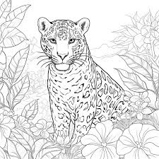 jaguar coloring books for children